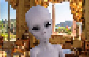 Photo Mirror screenshot 3