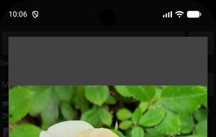 Photo Resizer screenshot 2