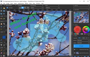 PhotoDemon screenshot 1
