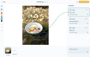 Annotation for photo proofing