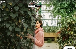 Photolemur screenshot 2