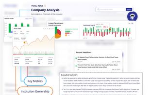 Company Analysis