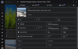 Metadata can be extracted and merged from Exif, XMP, and proprietary sources such as Google Photos.