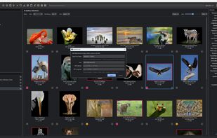 Editing EXIF metadata