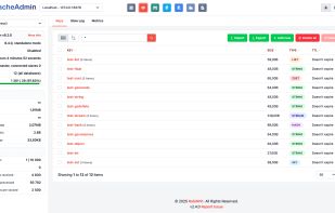 Redis Dashboard in Light mode