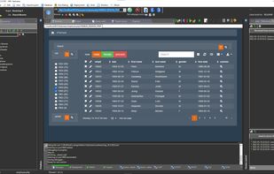 Running your application within the IDE