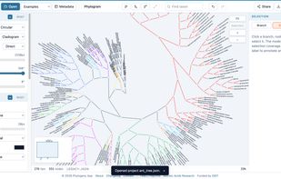 Loaded example