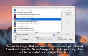 PicConvert screenshot 1
