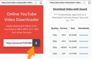 PickVideo screenshot 1