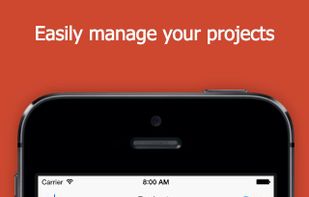Pico Compiler screenshot 2