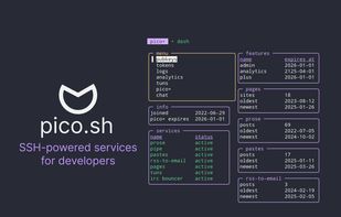 pico.sh screenshot 1