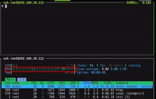 PicoClaw screenshot 1