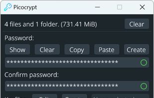 Application main window