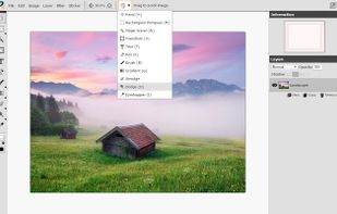 Piconion screenshot 1