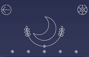 Picross Luna screenshot 2