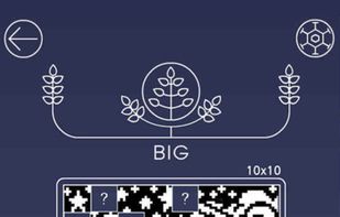 Picross Luna screenshot 3
