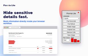 Mask sensitive information directly inside your browser workflow.