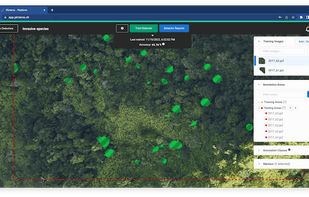 Picterra screenshot 2