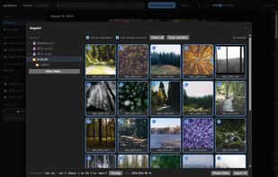 Importing from a card: pick a source on the left, and the photos it found appear on the right.
