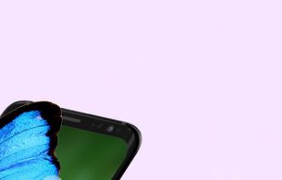 Picture Insect screenshot 1