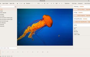 PicturesQ screenshot 1