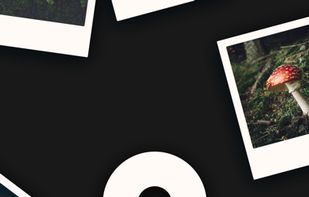 Picular Photo screenshot 1