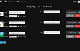 Piczel.tv screenshot 1