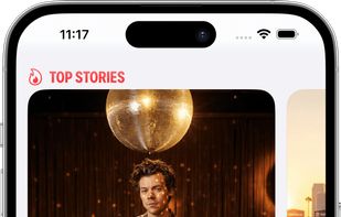 Pidgeon screenshot 1