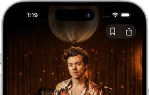 Pidgeon screenshot 3