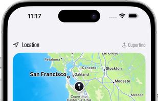 Pidgeon screenshot 2