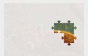 Pieceful Puzzles screenshot 3