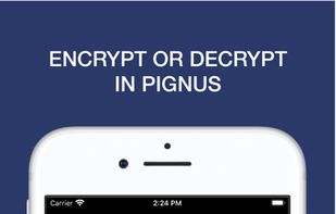 Pignus Encryption screenshot 3