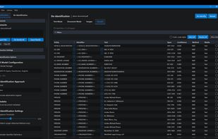 Human-in-the-loop review panel for every detected entity. Approve, reject, reclassify entity types, or merge duplicate identifiers referring to the same person before committing the redaction.