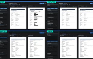 Four de-identification modes built into one application: Redact (permanent), Replace (placeholder tokens), Highlight (review-only), and Mask (length-preserving).