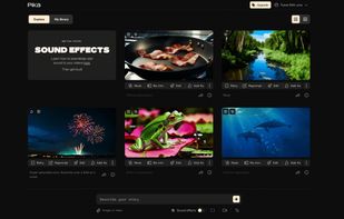 Pika Labs screenshot 1