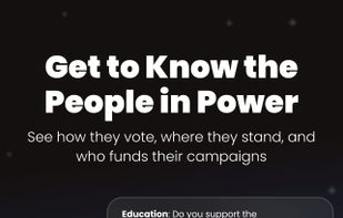 PILLARS - Simplifying Politics screenshot 1