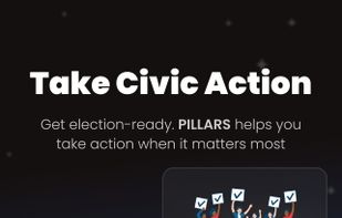 PILLARS - Simplifying Politics screenshot 3