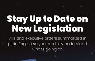PILLARS - Simplifying Politics screenshot 1