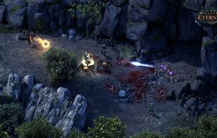 Pillars of Eternity screenshot 2