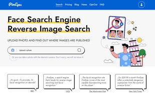 PimEyes screenshot 1