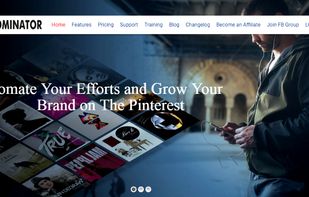 PinDominator screenshot 1