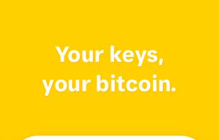 Pine Wallet screenshot 3