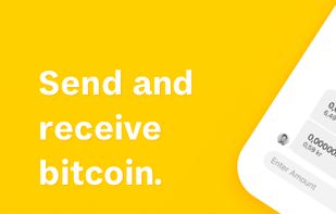 Pine Wallet screenshot 2