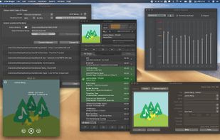 Pine Player screenshot 1