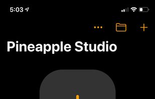 Pineapple.build screenshot 1