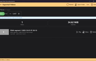 Pineapple Steam Recording Exporter screenshot 2