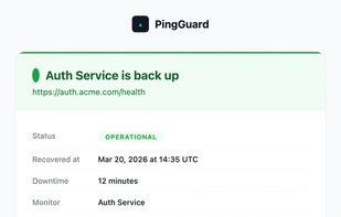 PingGuard screenshot 1
