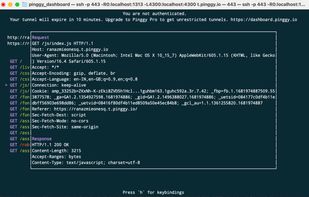 Introspecting HTTP Headers with Pinggy