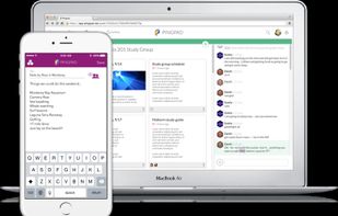 Pingpad screenshot 3