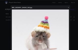 Pingvin Share screenshot 3